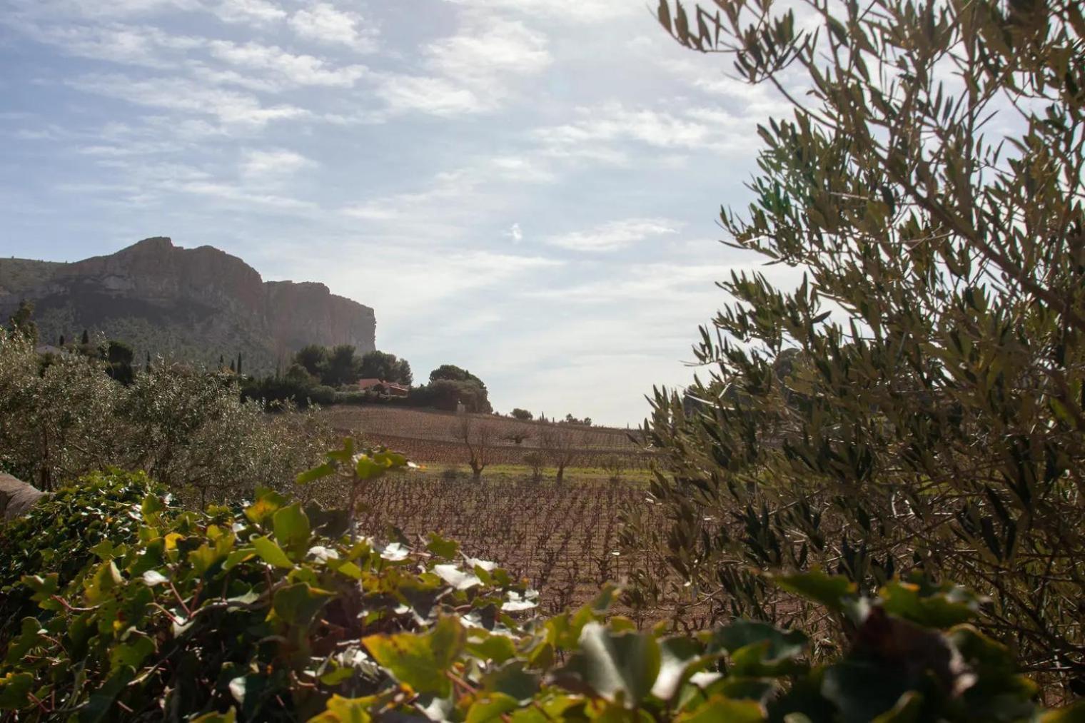 Holiday home La Petite Lezardiere